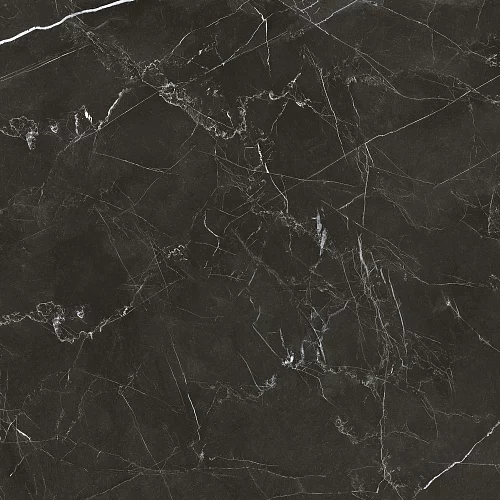 Фото Керамогранит матовый Steppe Ceramics Royal Black черный 600*600*9,5 – купить в Челябинске: цена, описание, фото. Интернет-магазин 4